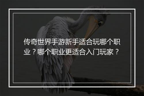 传奇世界手游新手适合玩哪个职业？哪个职业更适合入门玩家？
