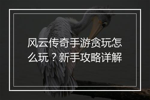 风云传奇手游贪玩怎么玩？新手攻略详解