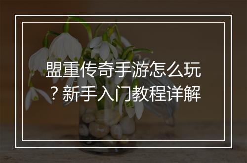 盟重传奇手游怎么玩？新手入门教程详解