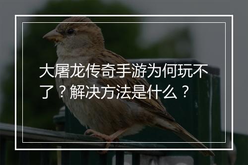 大屠龙传奇手游为何玩不了？解决方法是什么？