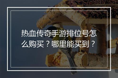 热血传奇手游排位号怎么购买？哪里能买到？