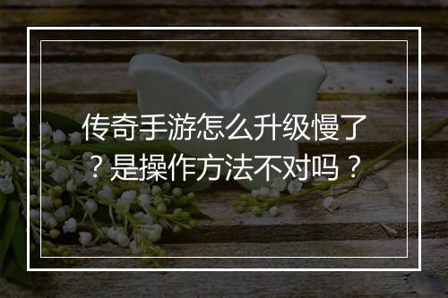 传奇手游怎么升级慢了？是操作方法不对吗？