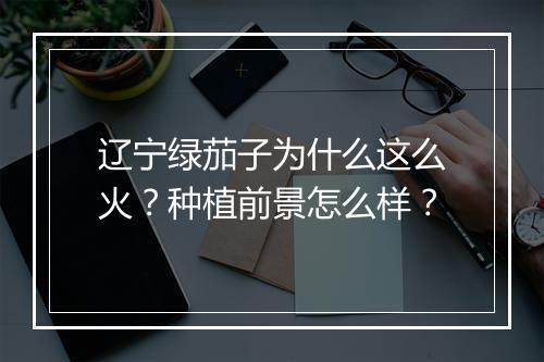 辽宁绿茄子为什么这么火？种植前景怎么样？