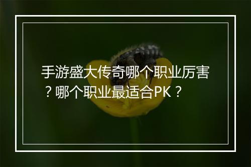 手游盛大传奇哪个职业厉害？哪个职业最适合PK？