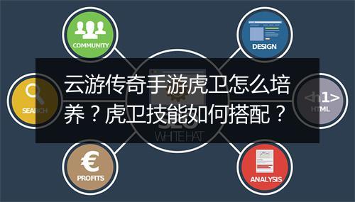 云游传奇手游虎卫怎么培养？虎卫技能如何搭配？
