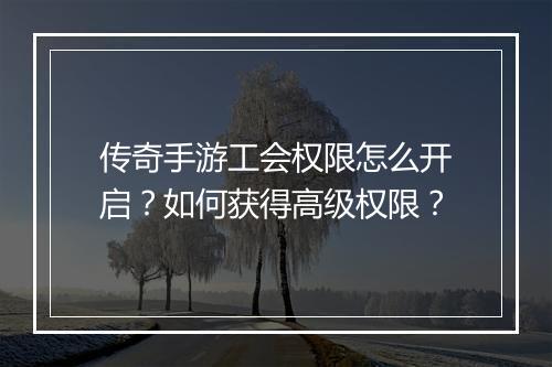 传奇手游工会权限怎么开启？如何获得高级权限？