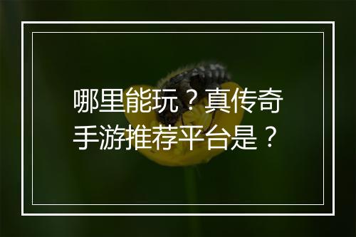 哪里能玩？真传奇手游推荐平台是？