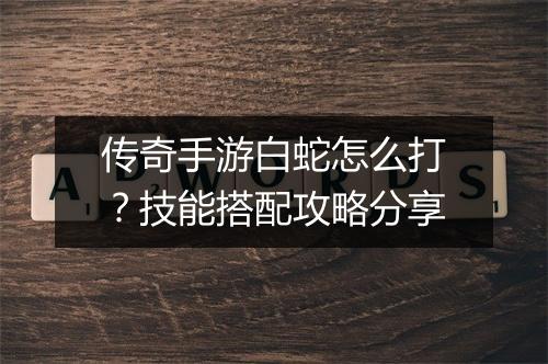 传奇手游白蛇怎么打？技能搭配攻略分享
