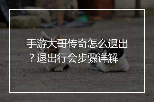 手游大哥传奇怎么退出？退出行会步骤详解
