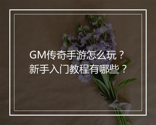 GM传奇手游怎么玩？新手入门教程有哪些？