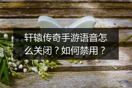 轩辕传奇手游语音怎么关闭？如何禁用？
