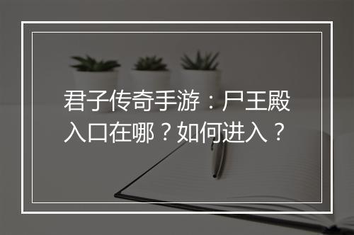 君子传奇手游：尸王殿入口在哪？如何进入？