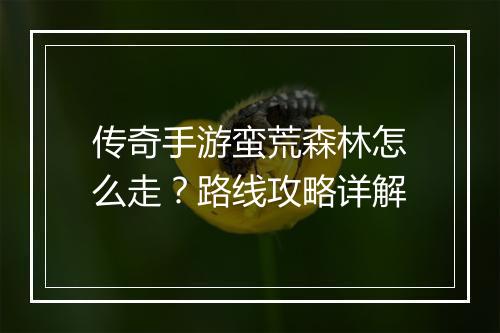 传奇手游蛮荒森林怎么走？路线攻略详解