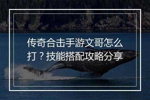 传奇合击手游文哥怎么打？技能搭配攻略分享