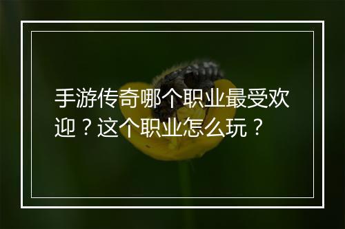 手游传奇哪个职业最受欢迎？这个职业怎么玩？