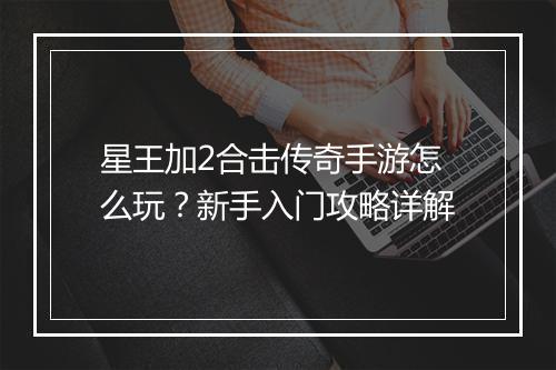 星王加2合击传奇手游怎么玩？新手入门攻略详解