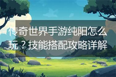 传奇世界手游纯阳怎么玩？技能搭配攻略详解
