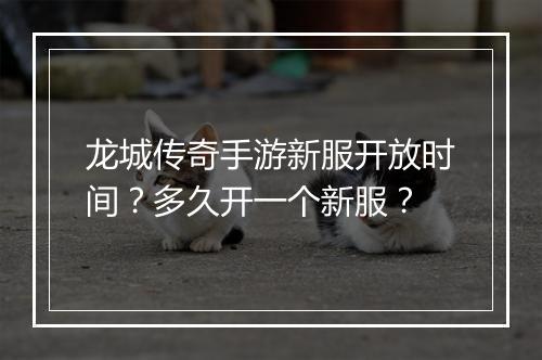 龙城传奇手游新服开放时间？多久开一个新服？