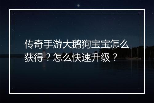 传奇手游大鹅狗宝宝怎么获得？怎么快速升级？