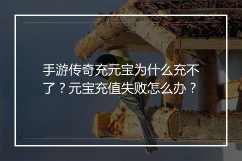 手游传奇充元宝为什么充不了？元宝充值失败怎么办？