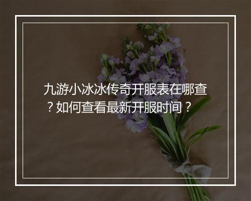 九游小冰冰传奇开服表在哪查？如何查看最新开服时间？
