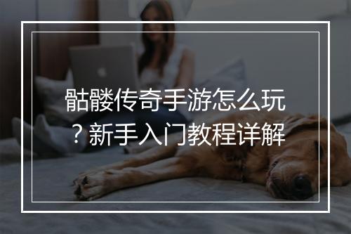 骷髅传奇手游怎么玩？新手入门教程详解