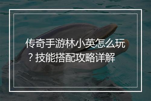 传奇手游林小英怎么玩？技能搭配攻略详解