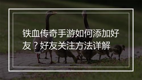 铁血传奇手游如何添加好友？好友关注方法详解