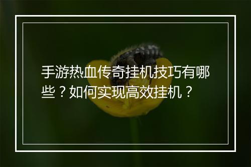 手游热血传奇挂机技巧有哪些？如何实现高效挂机？