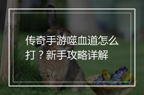 传奇手游噬血道怎么打？新手攻略详解