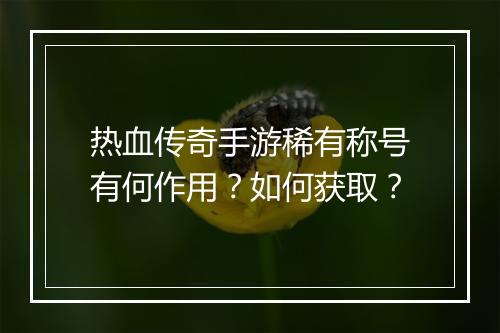 热血传奇手游稀有称号有何作用？如何获取？