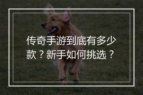 传奇手游到底有多少款？新手如何挑选？