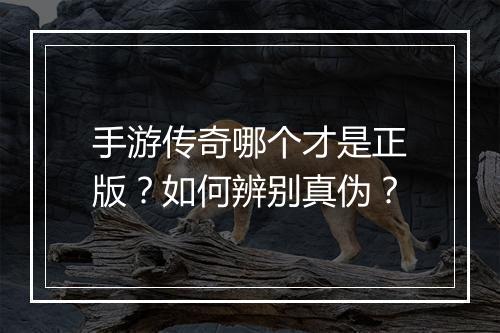 手游传奇哪个才是正版？如何辨别真伪？