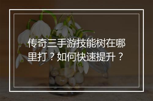 传奇三手游技能树在哪里打？如何快速提升？