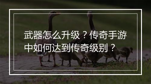 武器怎么升级？传奇手游中如何达到传奇级别？