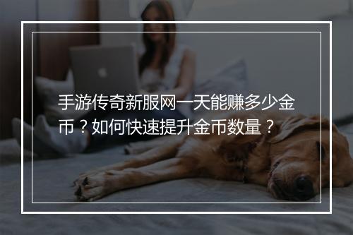 手游传奇新服网一天能赚多少金币？如何快速提升金币数量？