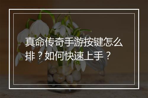 真命传奇手游按键怎么排？如何快速上手？