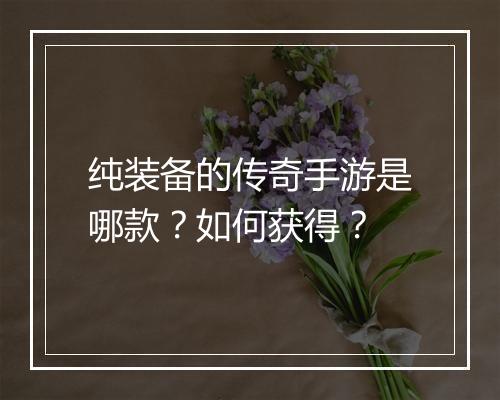 纯装备的传奇手游是哪款？如何获得？