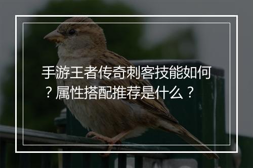 手游王者传奇刺客技能如何？属性搭配推荐是什么？
