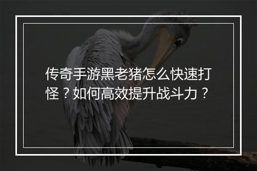 传奇手游黑老猪怎么快速打怪？如何高效提升战斗力？