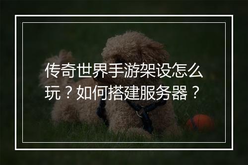 传奇世界手游架设怎么玩？如何搭建服务器？