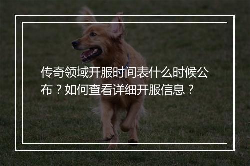 传奇领域开服时间表什么时候公布？如何查看详细开服信息？