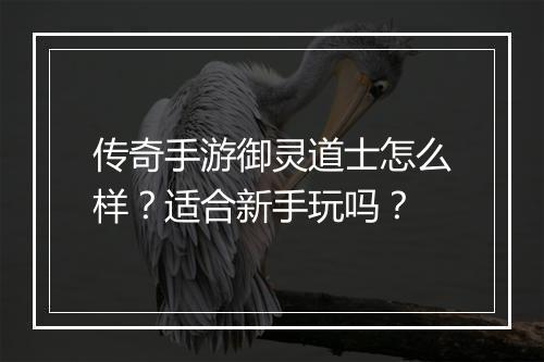 传奇手游御灵道士怎么样？适合新手玩吗？