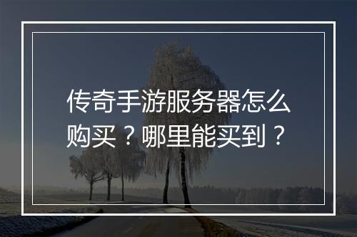 传奇手游服务器怎么购买？哪里能买到？