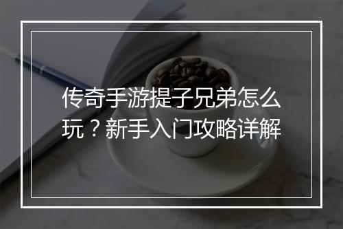 传奇手游提子兄弟怎么玩？新手入门攻略详解