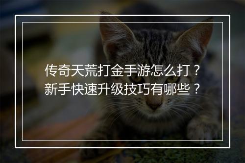 传奇天荒打金手游怎么打？新手快速升级技巧有哪些？
