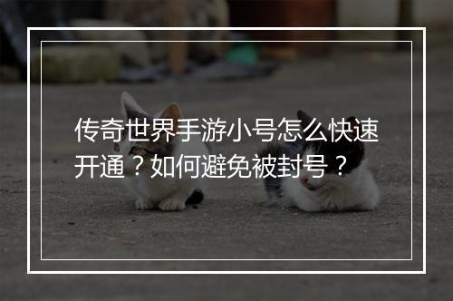 传奇世界手游小号怎么快速开通?如何避免被封号?