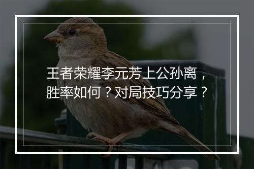 王者荣耀李元芳上公孙离，胜率如何？对局技巧分享？