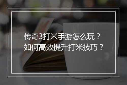 传奇3打米手游怎么玩？如何高效提升打米技巧？