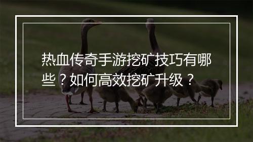 热血传奇手游挖矿技巧有哪些？如何高效挖矿升级？